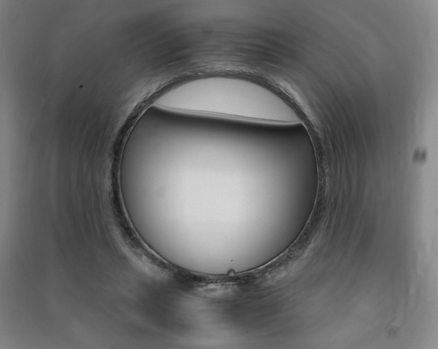X0000091490447200708161214