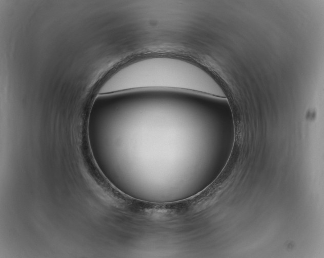 X0000091490448200708161214