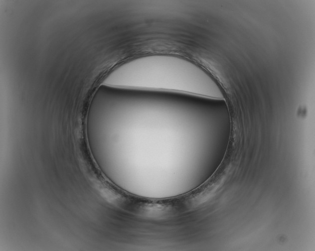 X0000091490453200708161214