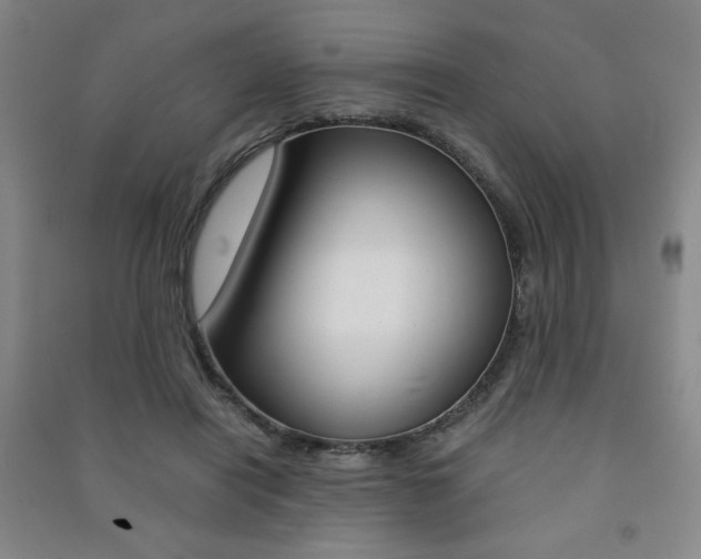 X0000091490454200708161214