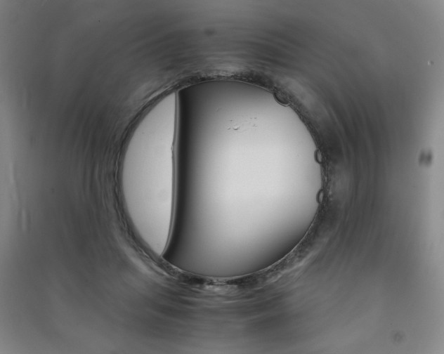 X0000091490455200708161214