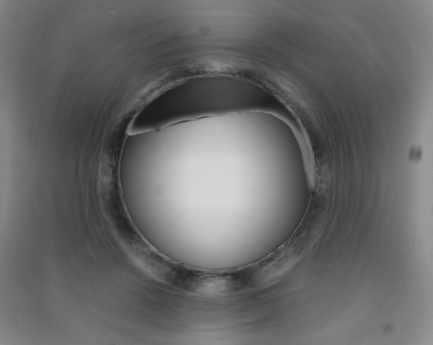 X0000091490456200708161214