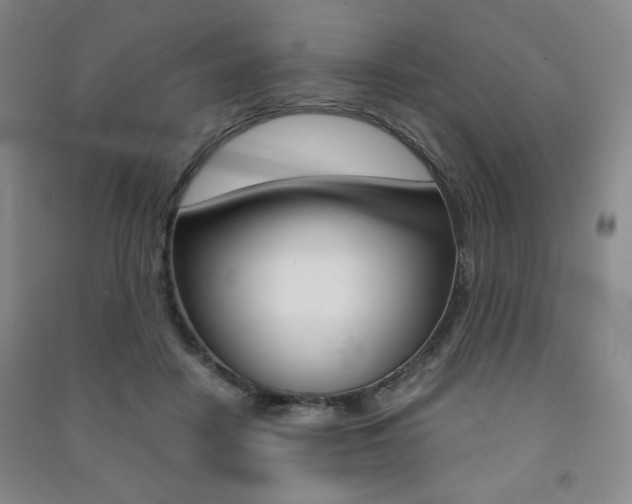 X0000091490458200708161214