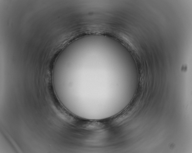 X0000091490459200708161214