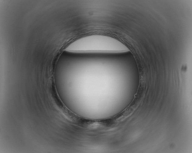 X0000091490460200708161214