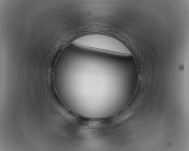 X0000091490462200708161214