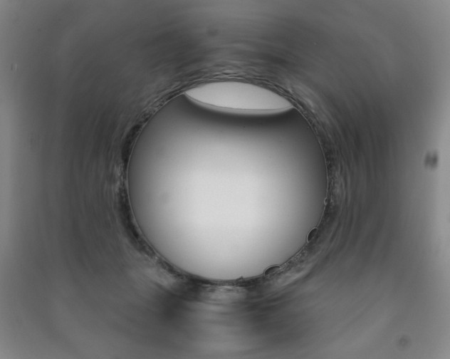 X0000091490463200708161214