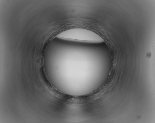 X0000091490464200708161214