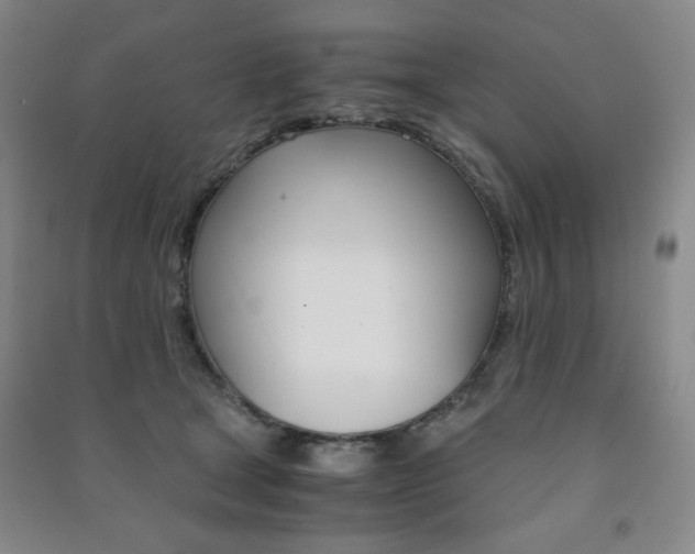 X0000091490465200708161214
