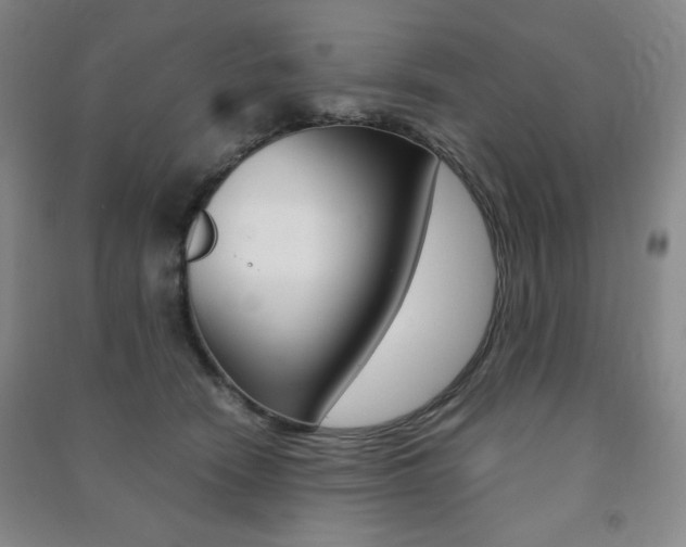 X0000091490466200708161214