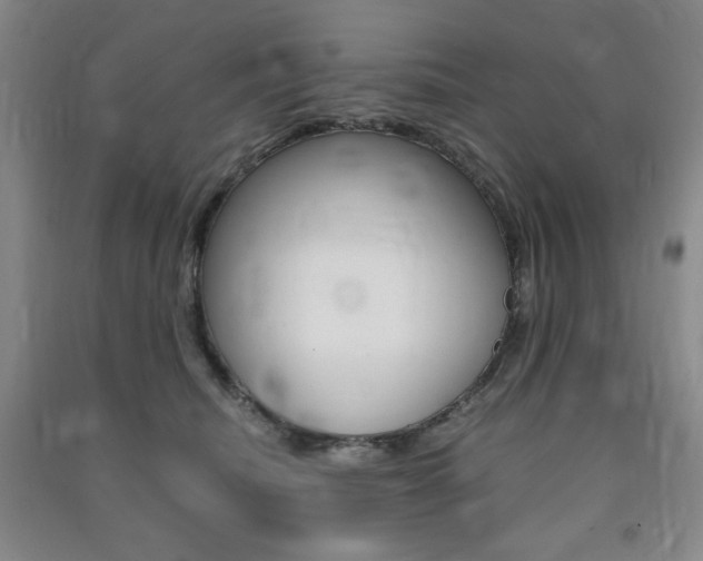 X0000091490468200708161214
