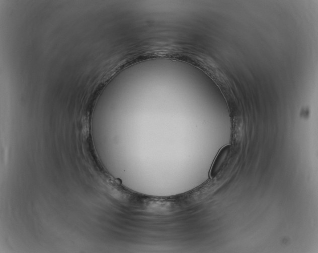 X0000091490471200708161214