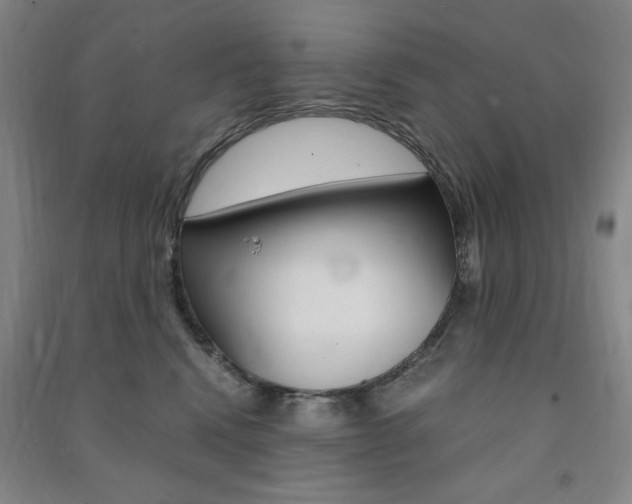 X0000091490472200708161214