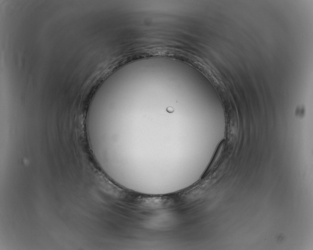 X0000091490473200708161214