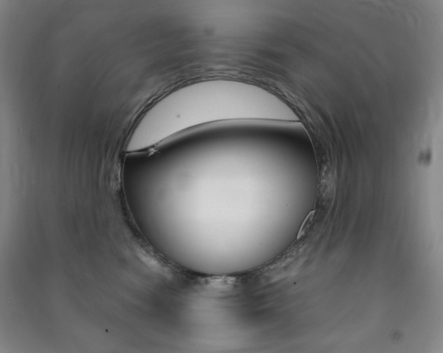 X0000091490474200708161214