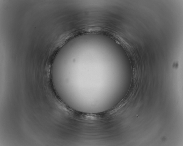 X0000091490475200708161214