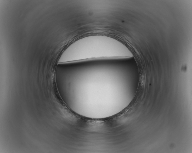 X0000091490476200708161214