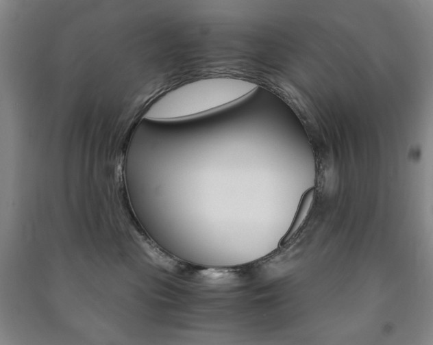 X0000091490477200708161214