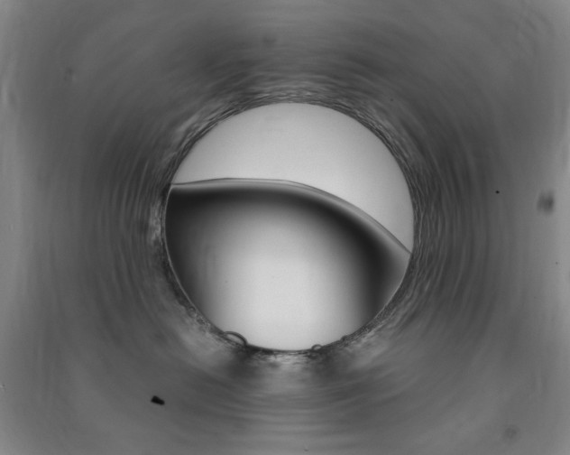 X0000091490478200708161214
