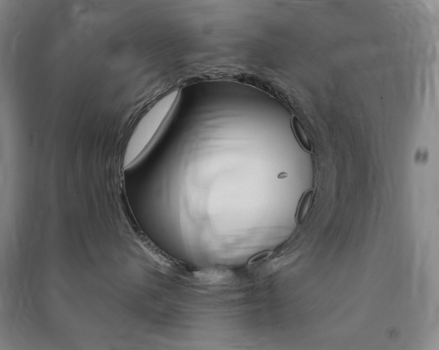 X0000091490480200708161214