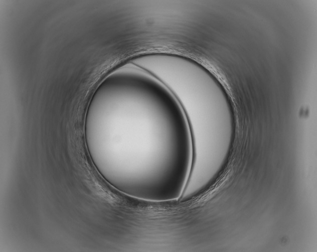 X0000091490481200708161213