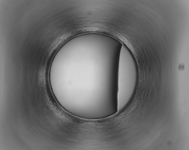 X0000091490482200708161213
