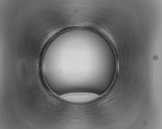 X0000091490483200708161213