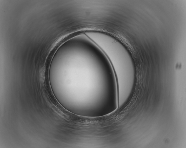 X0000091490484200708161213