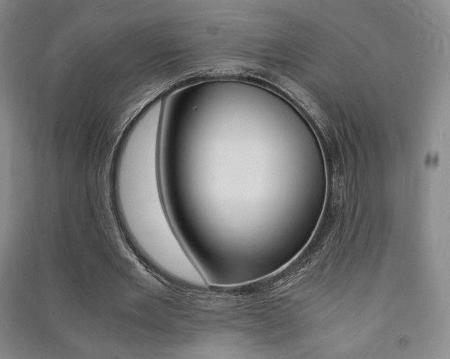 X0000091490485200708161213