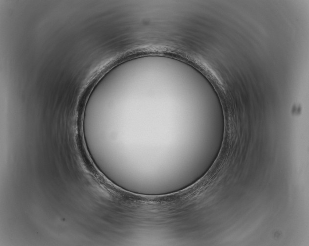 X0000091490486200708161213