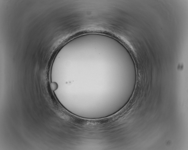 X0000091490487200708161213