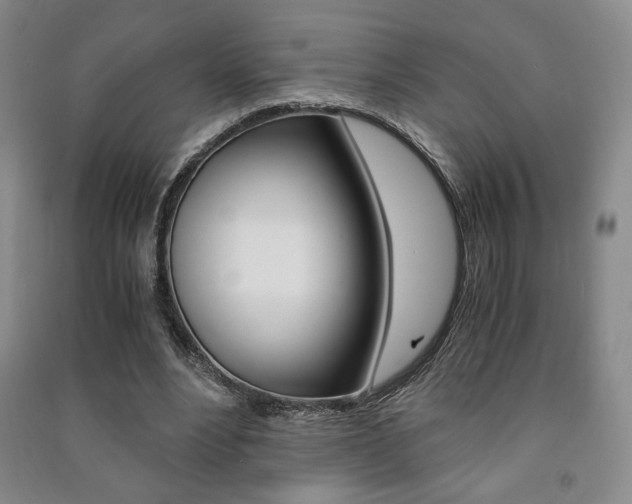X0000091490488200708161213