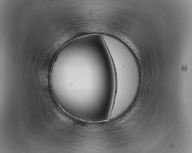 X0000091490489200708161213