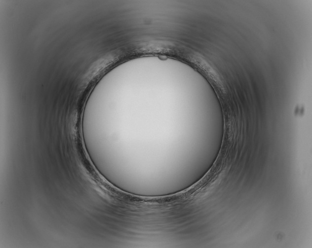 X0000091490490200708161213