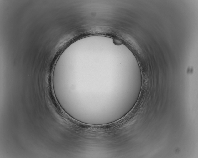 X0000091490491200708161213