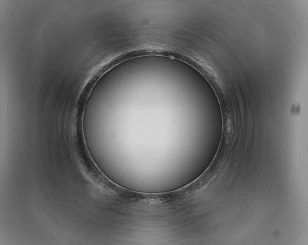 X0000091490492200708161213