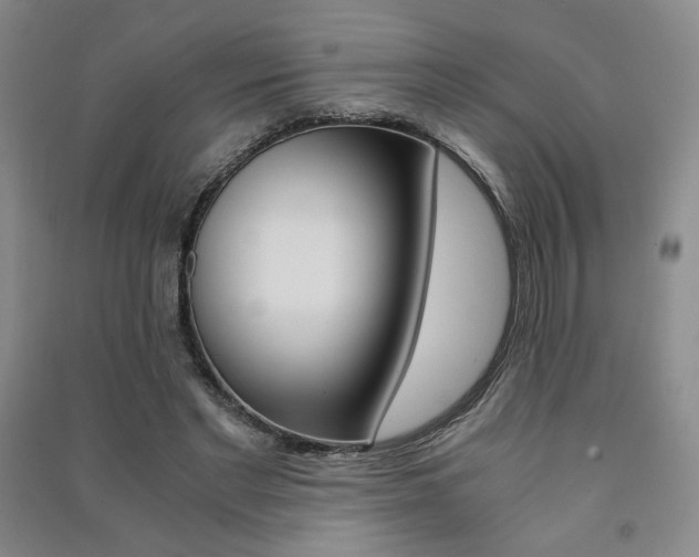 X0000091490493200708161213