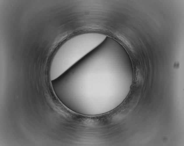 X0000091490494200708161213