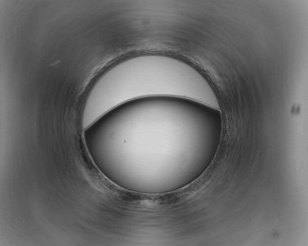 X0000091490496200708161213