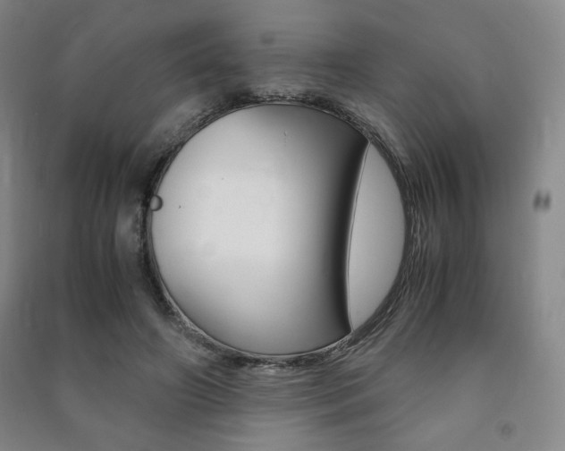 X0000091490498200708161213