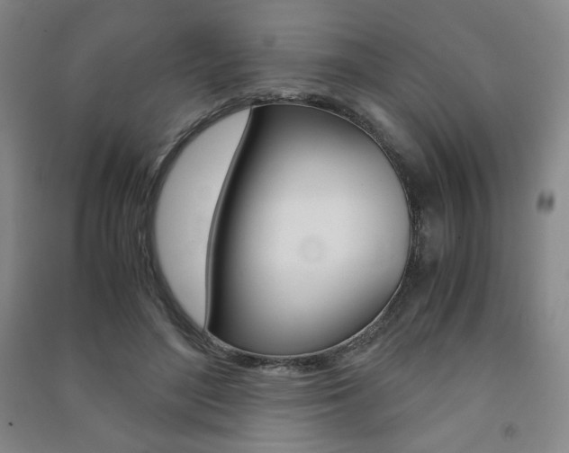 X0000091490500200708161213