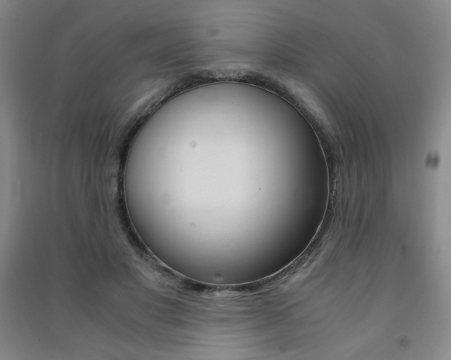 X0000091490501200708161213