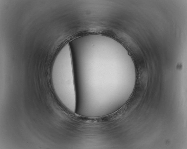 X0000091490502200708161213