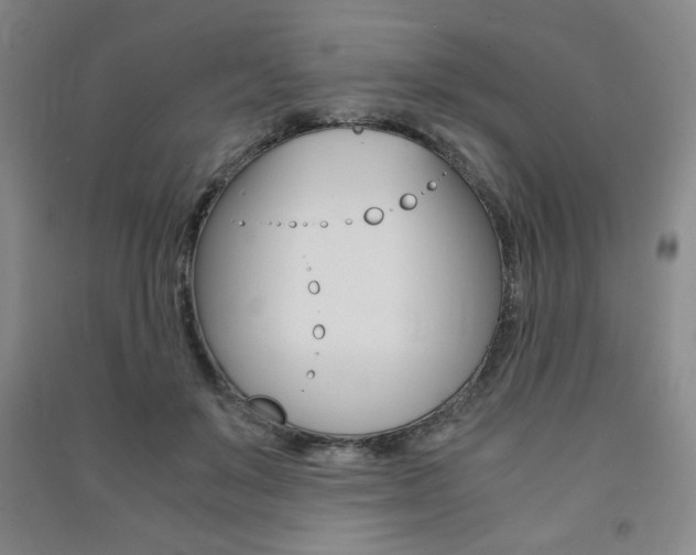 X0000091490503200708161213