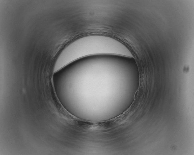 X0000091490504200708161213