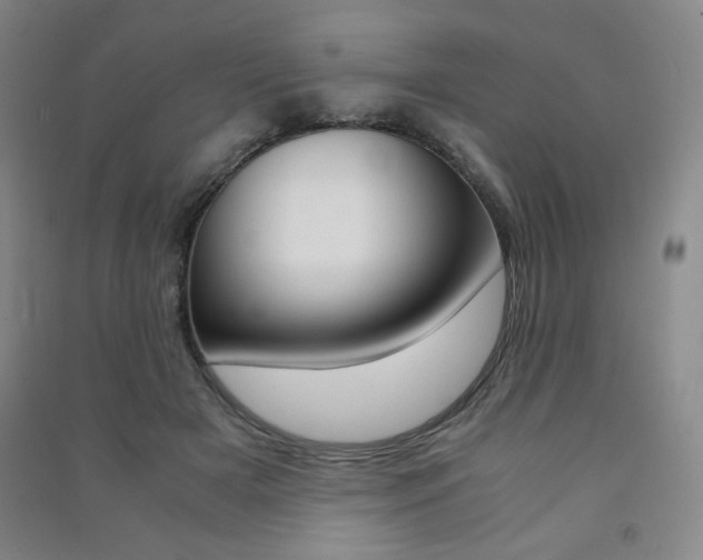 X0000091490505200708161213