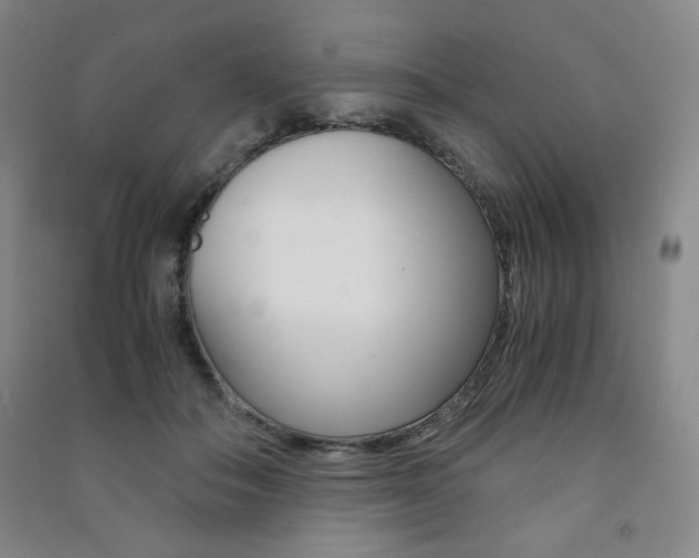 X0000091490506200708161213