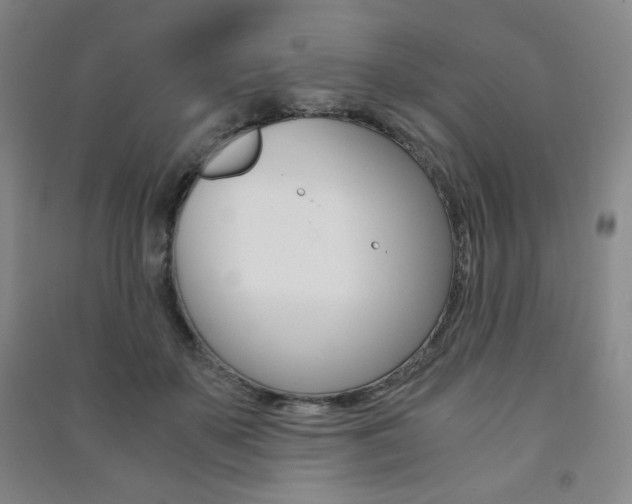X0000091490507200708161213