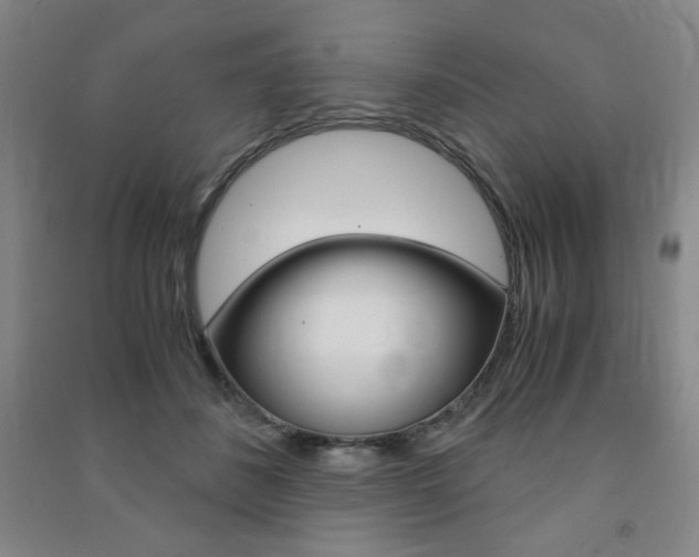 X0000091490508200708161213