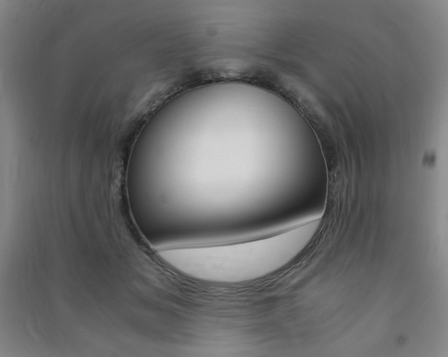 X0000091490509200708161213